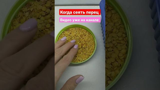 Когда сажать перец на рассаду смотреть онлайн
