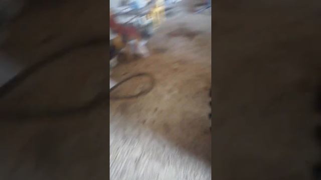 Минитрактор переломка 4х4 своими руками. Сожалка... смотреть онлайн