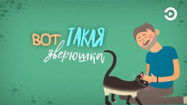 "Ушки на макушке" с Анной Рудаковой, выпуск 2 смотреть онлайн
