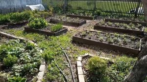 Опора для пиона.