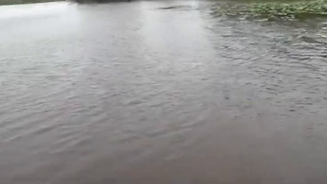 Начало велопутешествий смотреть онлайн