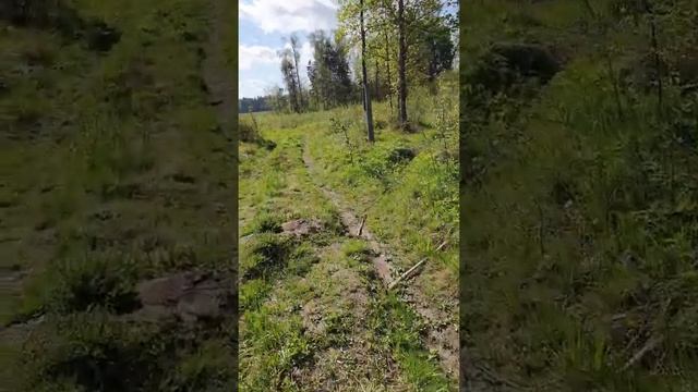 Зеленоград-озеро круглое-Икша смотреть онлайн