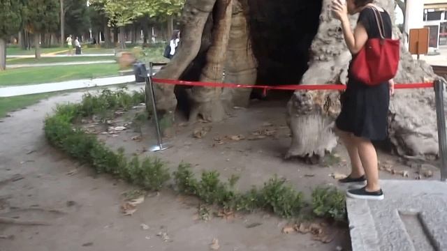 Топкапы́ (тур. Topkapı) — главный дворец Османской империи до середины XIX в смотреть онлайн