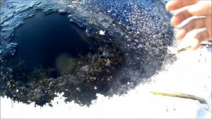 Есть ли рыба зимой на очень маленьких озёрах. Обследую