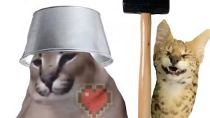 Похмелдырда башка бадум раскалында