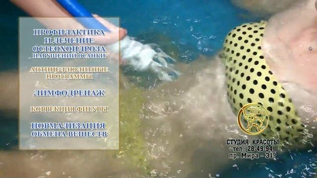 Гидромассаж   Золотой слон