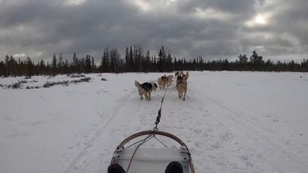 Visiting Russia's Arctic Circle!