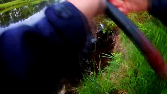 РЫБАЛКА НА ЖИВЦА С ПОПЛАВКОМ в корягах! Рыбалка на Урале.Сезон 2019. Ловим щуку на живца в корягах смотреть онлайн