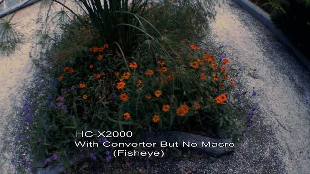 HC-X2000 With Super Wide Angle Converter 0.43x Test Footage смотреть онлайн