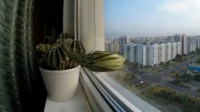 Калаш разорвало в руках смотреть онлайн