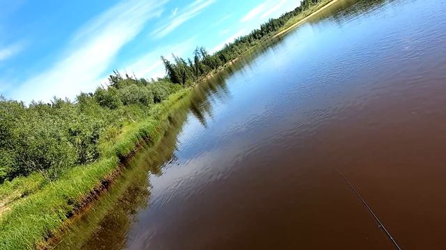 Со спиннингом по сухой реке. смотреть онлайн