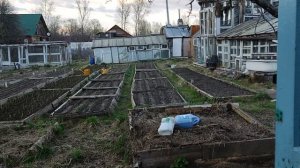 Божественный раствор для ПОЛИВА растений!