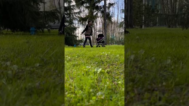 Я хочу похудеть смотреть онлайн