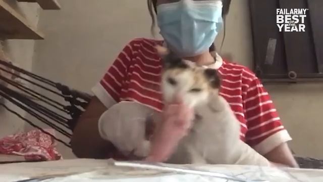 Best Fails Of The Year 2021 FailArmy смотреть онлайн