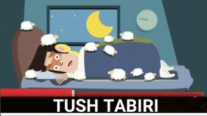 ИНСОН ТУШИДА УЛГАНИНИ КУРСА БУ НИМАДАН ДАРАК БЕРАДИ