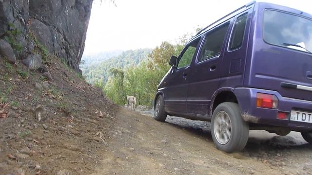 Suzuki 4x4 Wagon R