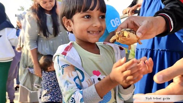 ❤#The zoo, umm al quwain/Kids friendly Zoo in UAE смотреть онлайн