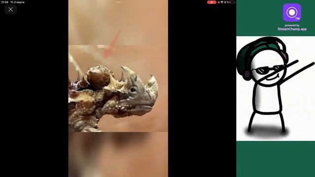 Неожиданный стрим! Играем в гартик фон смотреть онлайн