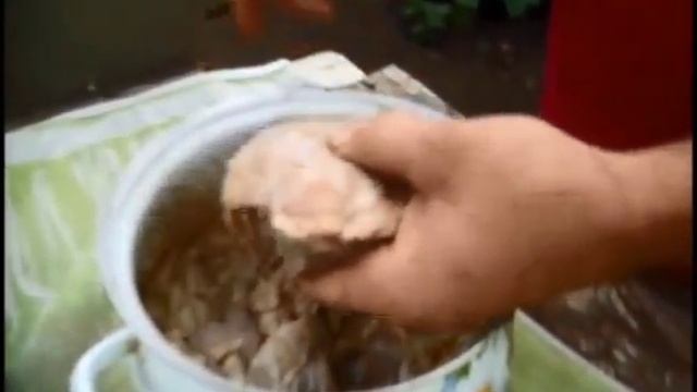 Шашлык из бедра курицы+как приговить оставшийся лук! смотреть онлайн