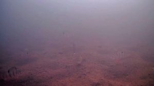 Зимняя блесна Трехгранка - тест классики