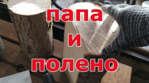 Вазы для цветов и дерева