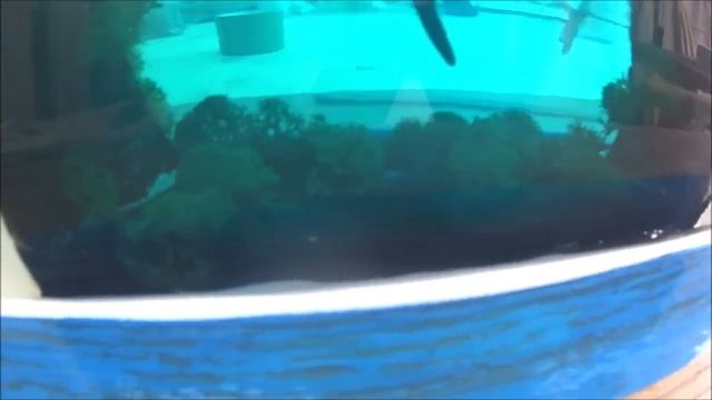 Светильник - Диорама EPOXY LAMP смотреть онлайн