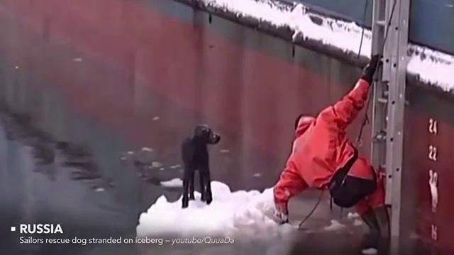 Добрые поступки, которые запомнились всему миру смотреть онлайн