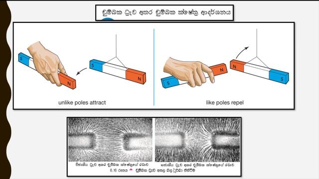 Grade 8 science Magnets 8 වසර смотреть онлайн