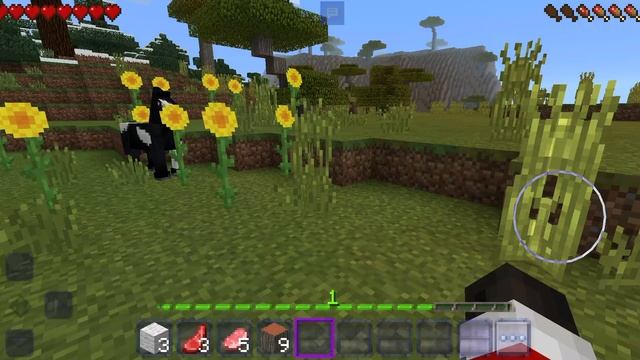 Играю в Craftsman