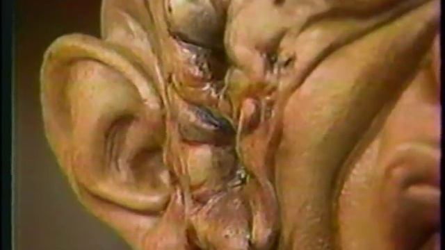 Rob Bottin TV interview (1982) смотреть онлайн