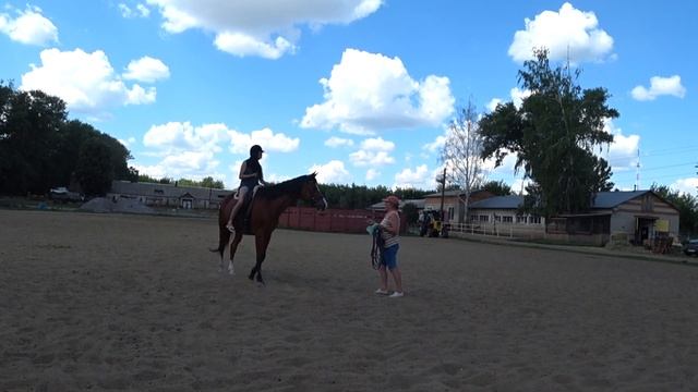 VLOG / Ипподром имени С. М. Буденного / Катание на лошадях смотреть онлайн
