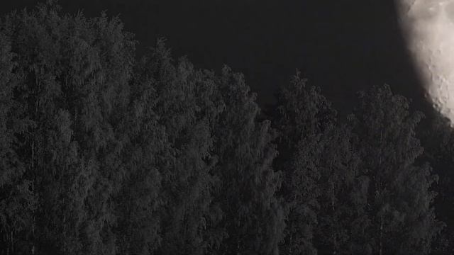 Андрей Белый. Один. Стихи смотреть онлайн