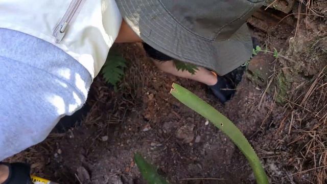 Esse Tesouro Quase me custou a Vida!!! смотреть онлайн