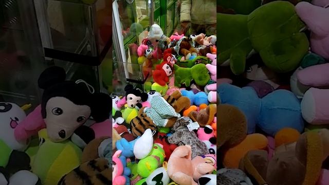 Тигр? кошечка? Сложный выбор? смотреть онлайн