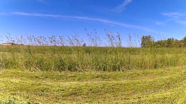 Покос травы мотоблоком с адаптером