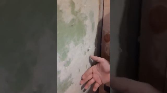 Бетоноконтакт по краске