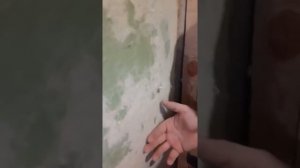 Бетоноконтакт по краске