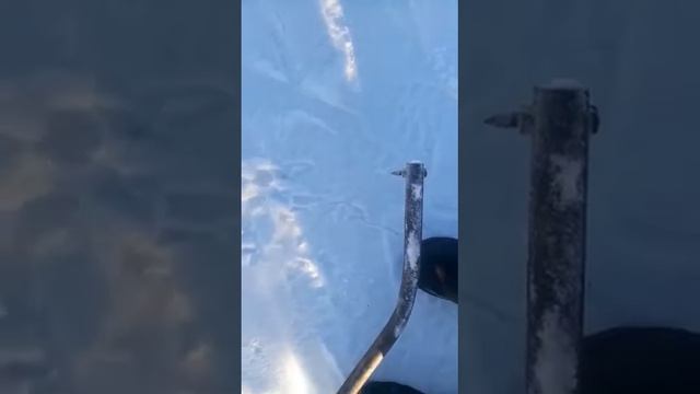 "Кыстыкка киирии-өбүгэ үгэһэ" смотреть онлайн
