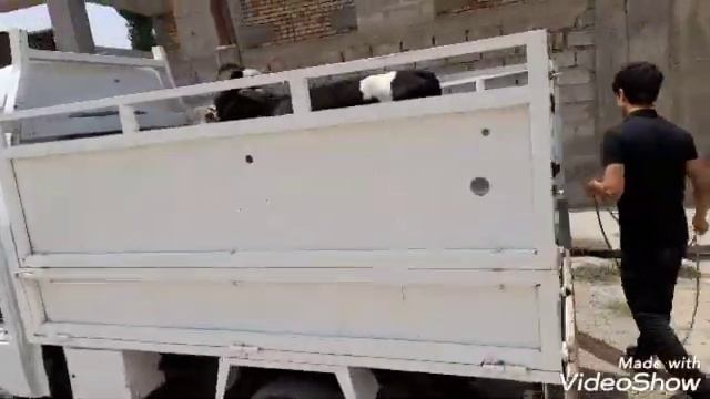 гуночин савдо шид 2-ЮМ УЧАСКА дастафка кардем смотреть онлайн