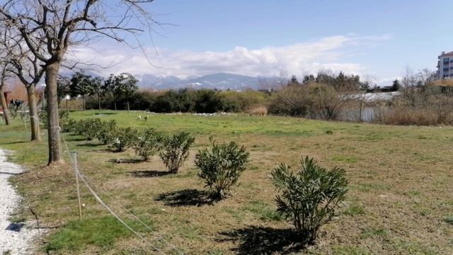 ОРНИТОЛОГИЧЕСКИЙ ПАРК в Сочи смотреть онлайн