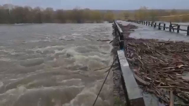 Сильный паводок подтопил дворы в селе Соболево на Камчатке и разрушил мост смотреть онлайн