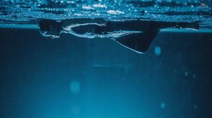 TAEMIN - MOVE РЕАКЦИЯ | Темин в Питере или слишком много эмоций