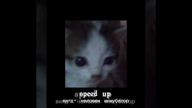 ворон клюющий глаза детей - человек инкубатор смотреть онлайн