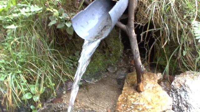 Программа похудения и детоксикации