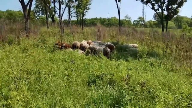 Зарисовки с гектара смотреть онлайн