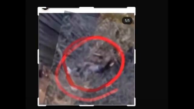 Влад Бахов. Вопросы по фото смотреть онлайн