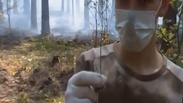 Всюду жизнь смотреть онлайн