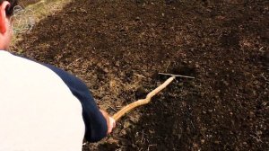 🏆 Плодородие почвы 🌱 Глина стала рыхлая как песок 🚜 DIY-обработка глинистой почвы