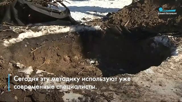 Посадка лип в Павловском парке по технологии XVIII века смотреть онлайн