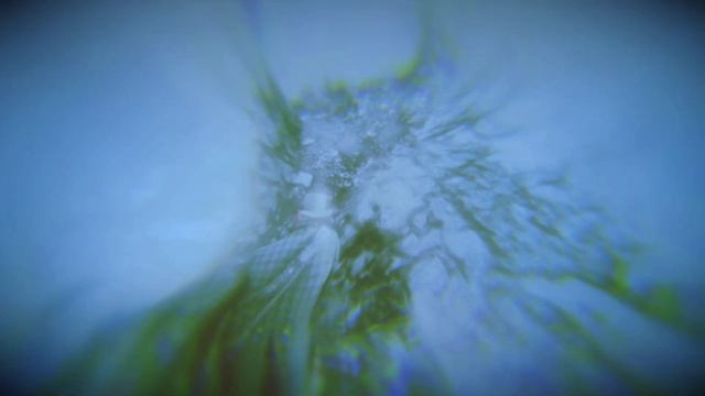 Новый способ попасть за карту в Red Dead Redemption 2 смотреть онлайн